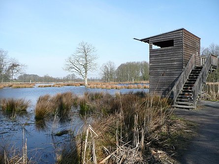 Beobachtungskanzel im Osten des Rohrdommelprojekts