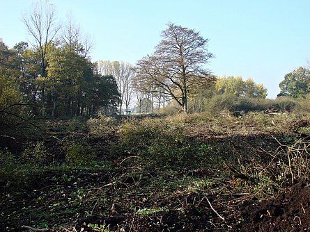 Beginn der Baumaßnahmen am Rohrdommelprojekt